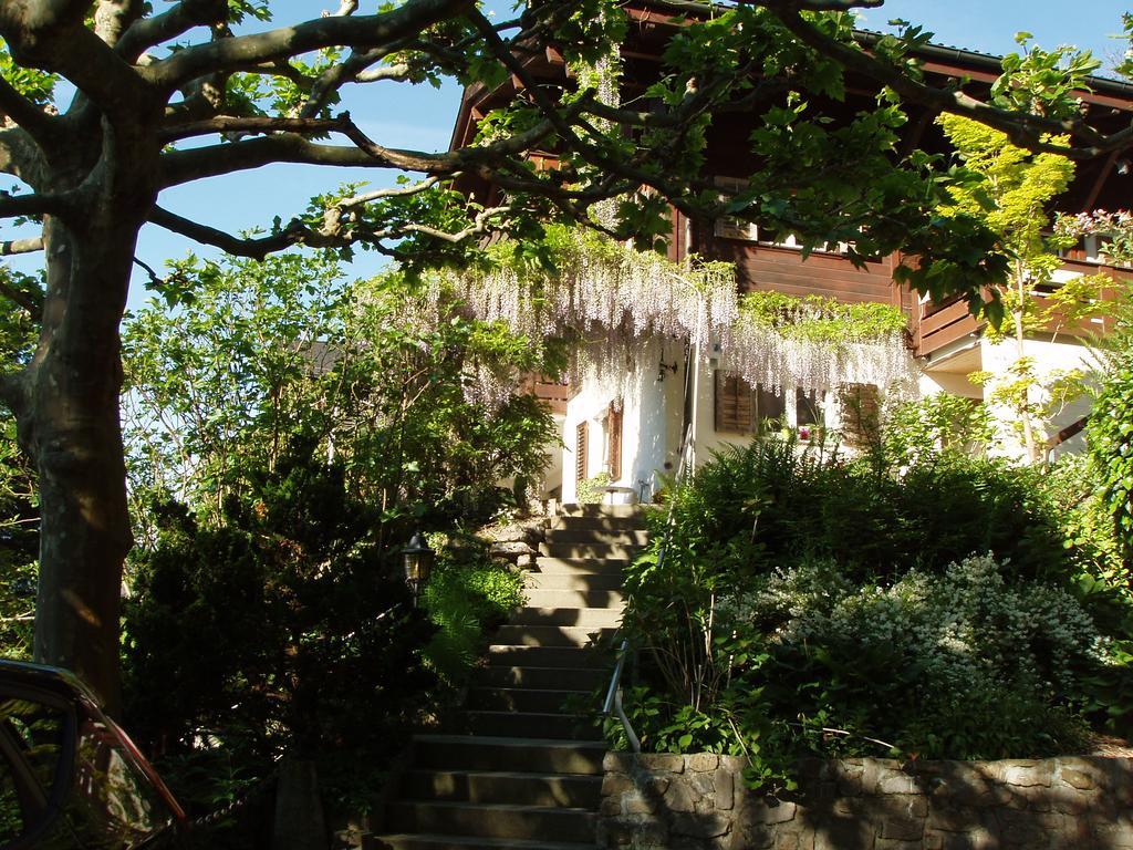 Ferienwohnung Selinda Niederried bei Interlaken Exterior photo